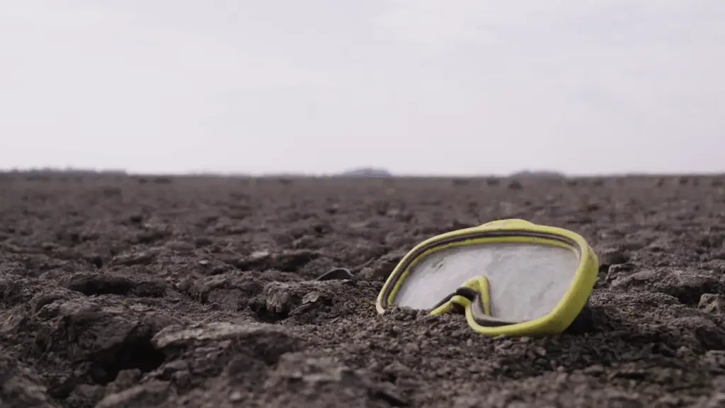 Im Osten Österreichs zeigen sich die Folgen sinkender Grundwasserspiegel längst deutlich. Doch, wem gehört das Wasser – und wer bekommt wie viel von der lebensnotwendigen Ressource? Eine Debatte, die Österreich viel früher erreicht hat als gedacht.