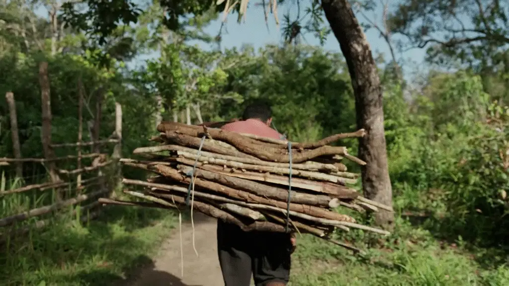 Alle großen Marken leuchten heute hellgrün, aber tun sie das zurecht? Das Zauberwort heißt „Klima-Kompensation“. Können damit die CO2-Belastungen von Großkonzernen tatsächlich auf null gerechnet werden? Und führt dieser moderne Ablasshandel nicht am Ende dazu, dass die echten, schwierigeren Lösungen erst gar nicht angegangen werden?