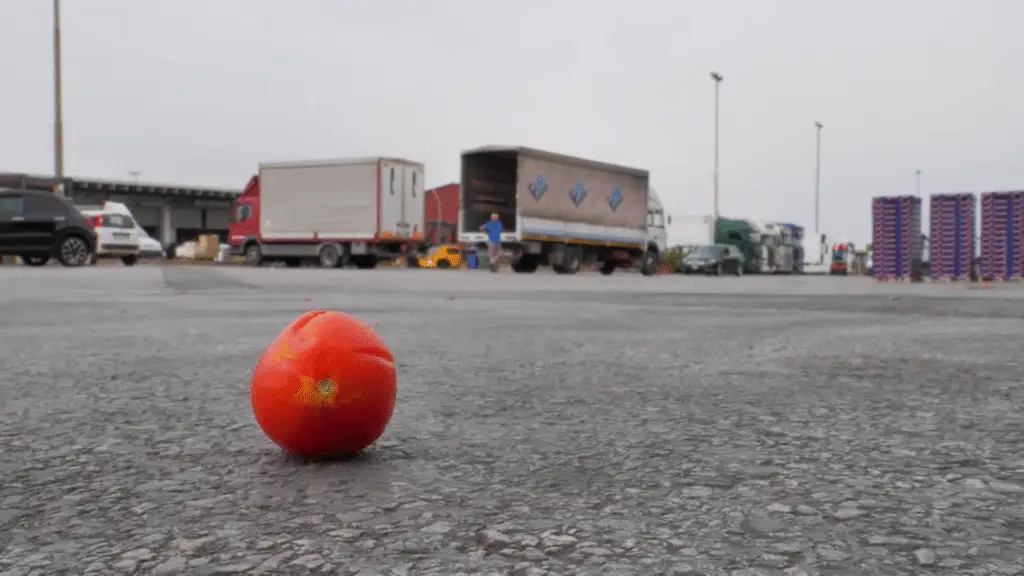 Adamah oder Sonnentor inszenieren sich als heile Gegenwelt zur globalen Nahrungsmittelbranche, als Bio, regional und ehrlich. Aber stimmt das? In einer aufwendigen europaweiten Recherche wurden die Lieferlinien dieser beiden österreichischen Firmen angesehen und überprüft, was von den Markenversprechen in der Wirklichkeit übrig bleibt.